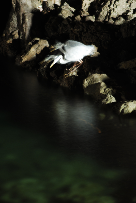 ファイル 72-4.jpg