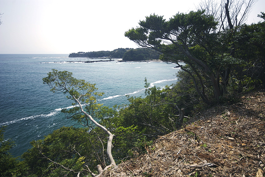 ファイル 77-4.jpg