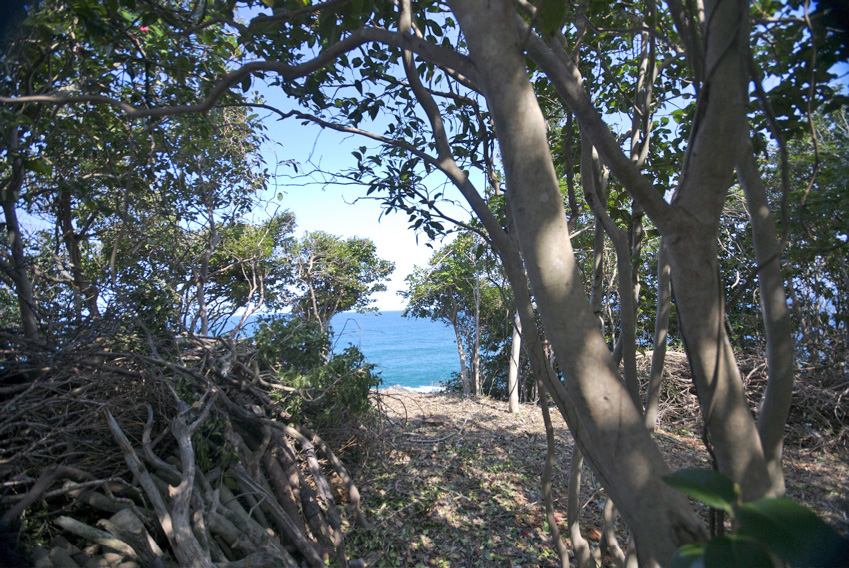 ファイル 77-5.jpg