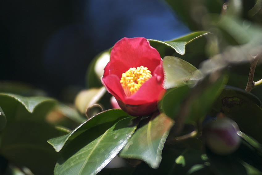 ファイル 78-4.jpg