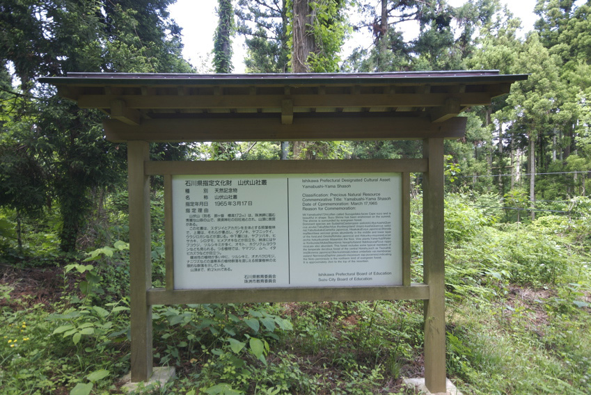 ファイル 80-3.jpg